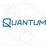 Quantum