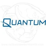 Quantum