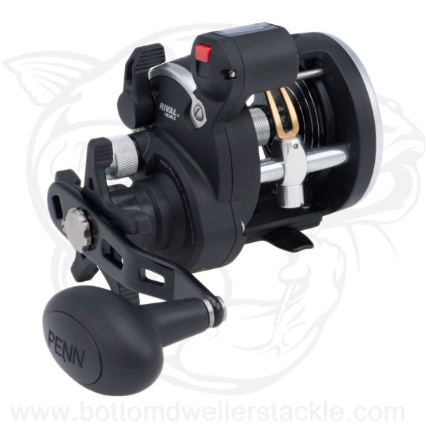 best level wind reel for salmon fishing PENN RVLII20LW Rival II 20 Conventional Built for anglers who demand dependable performance at a great price PENN Saltwater Rear Drag General
